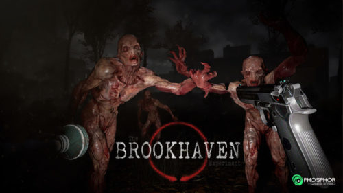The BROOKHAVEN Experiment