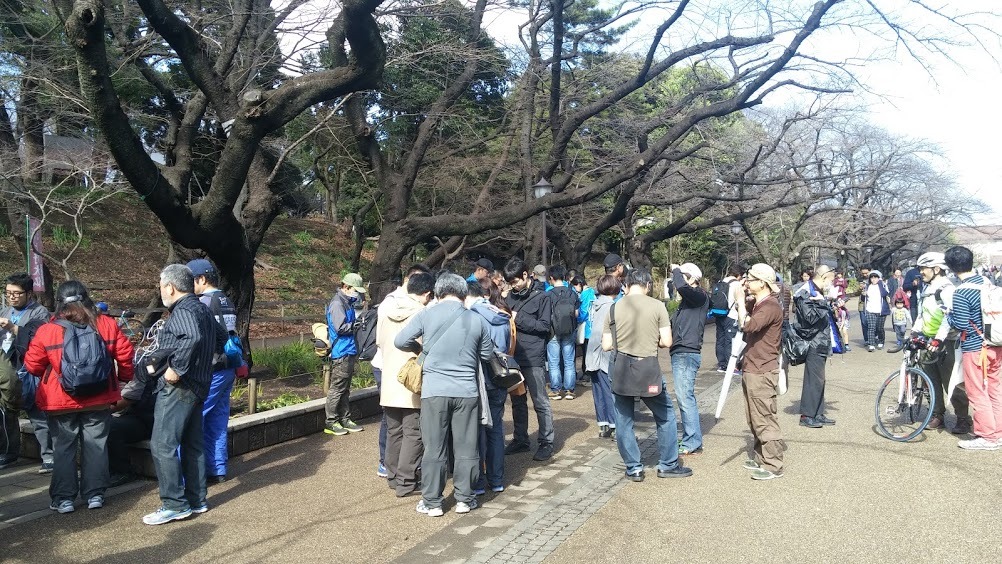 大仏前の様子