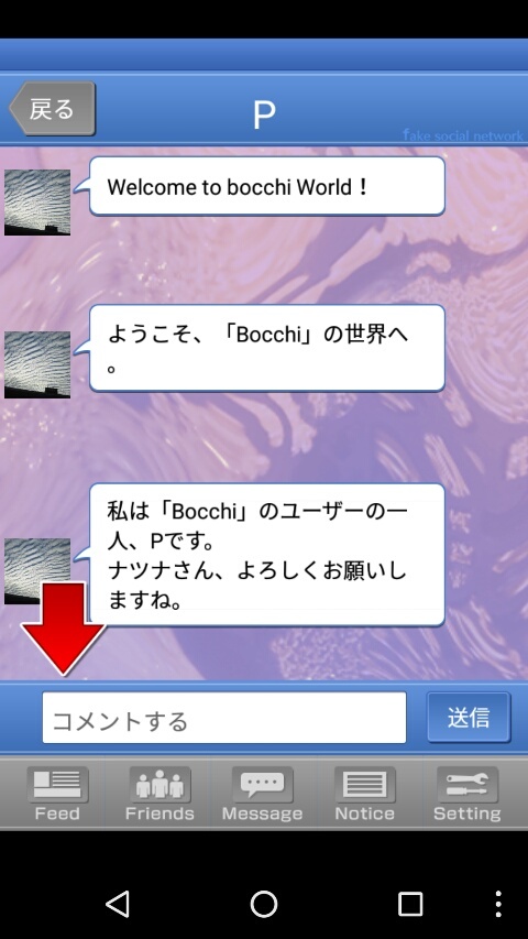 Bocchi - Fake Social Network -