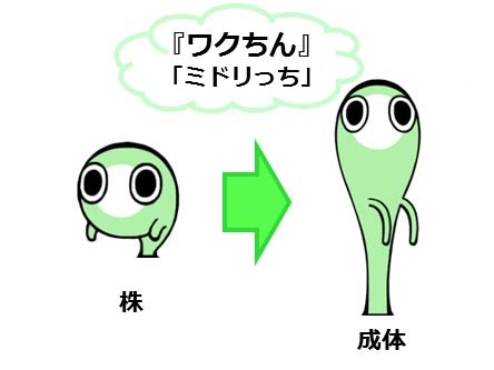 ワクちんず