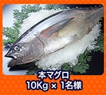 みんなの釣りバカンス