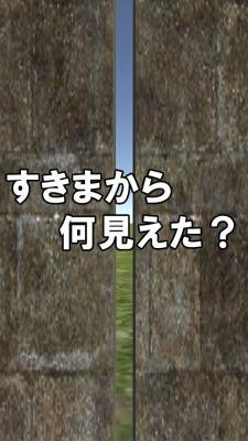 すきまから何見えた？