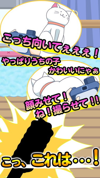 ねこじゃらせぬ!