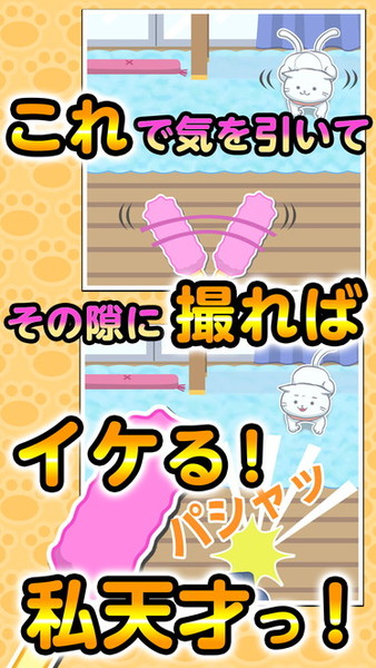 ねこじゃらせぬ!