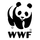 EAxWWF1