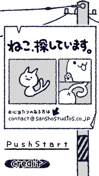 ねこ、探しています。