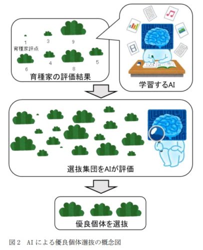 AIによる優良個体選抜の概念図