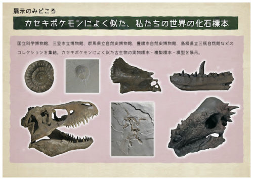 ポケモン化石博物館